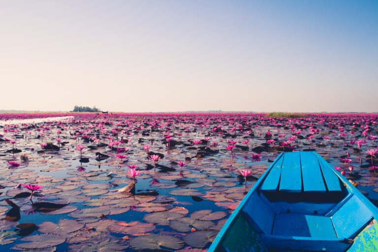 blue jon boat on body of water with lily flowers during daytime in Udon Thani