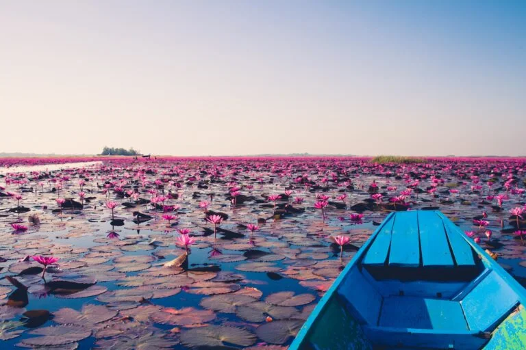 blue jon boat on body of water with lily flowers during daytime in Udon Thani