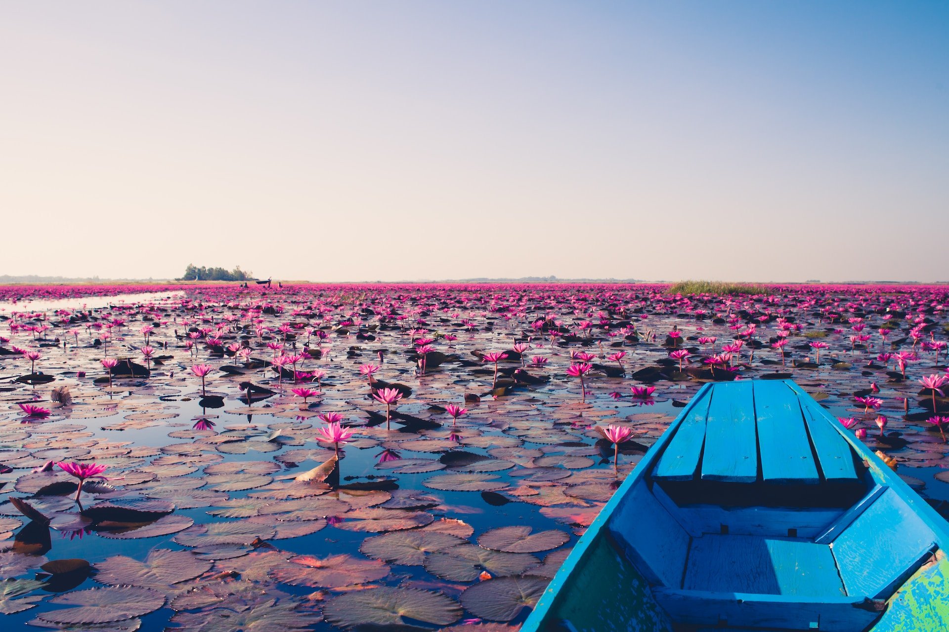 blue jon boat on body of water with lily flowers during daytime in Udon Thani